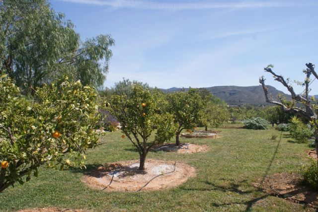 Lovely Simple House and Gardens In Lliria