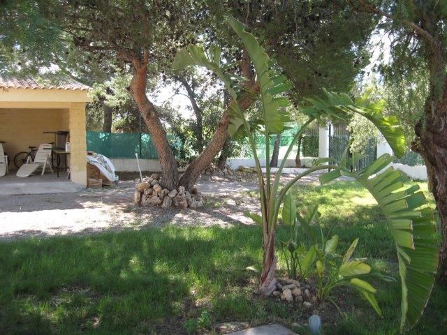 Bungalow in LLiria Countryside