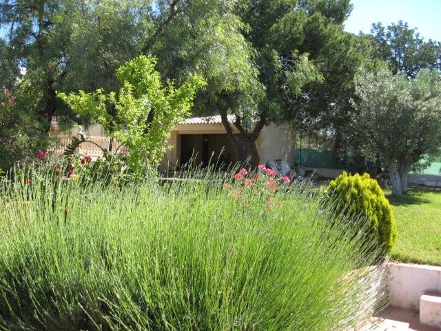 Bungalow in LLiria Countryside