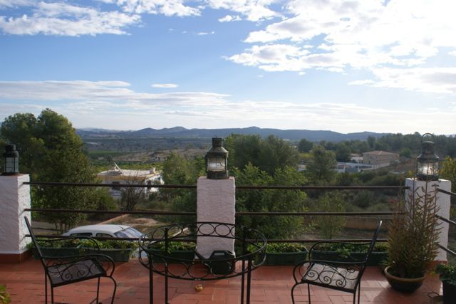 Beautiful Views Over The Orange Groves