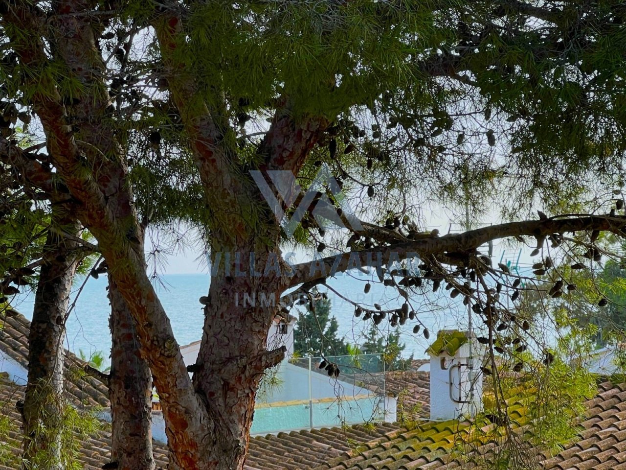 Vistas al mar a través de majestuosos pinos - ¡Tu vista para relajarte!